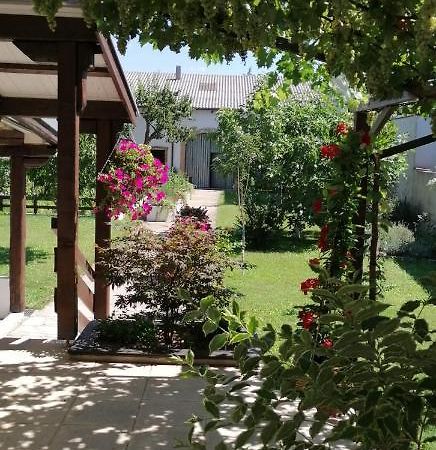 Ferienwohnung Maks Und Kris Sankt Andrä bei Frauenkirchen Dış mekan fotoğraf