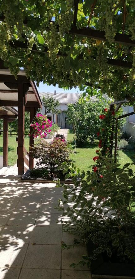 Ferienwohnung Maks Und Kris Sankt Andrä bei Frauenkirchen Dış mekan fotoğraf